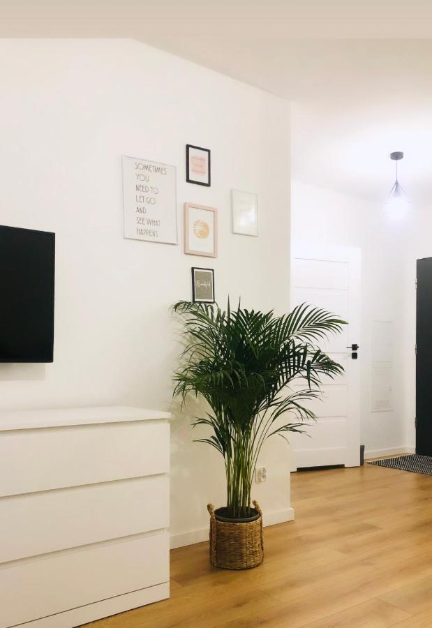 - №17 Apartment *